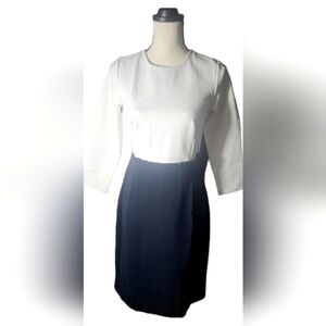 J Crew Structured Dress